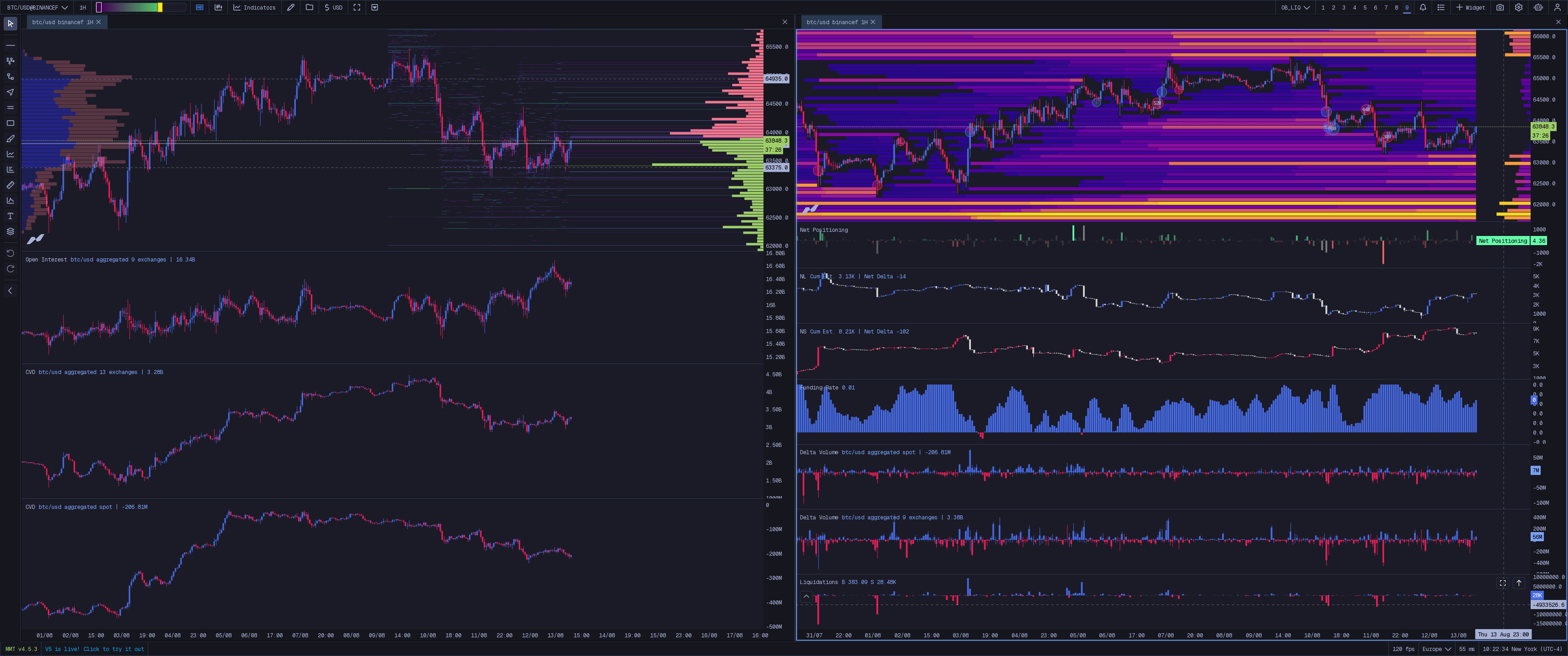 Order Book + Liquidation Map